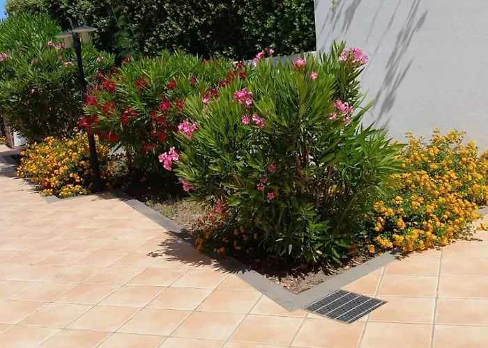 Guest house A F R O D I T E Lipari (Isola Lipari)